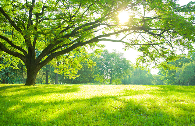 トータルサポートセンター よつ葉